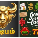 rishabamfea1-1771588757