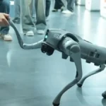 robo-dog-jpg-1771407277017_1771407277281-1200x675-1