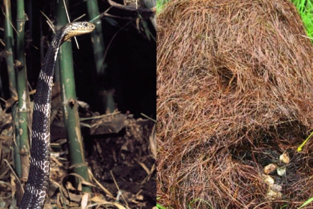 salan-raj-28-2026-02-40f9cee6a92df613238f3686c078a4a4-3x2-1