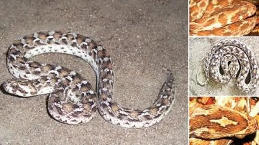 screenshot2026-02-09190550-tile-1770644197