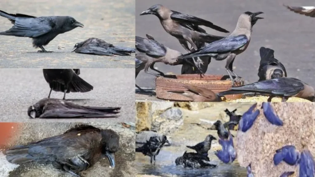 screenshot4367-1770356201