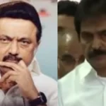 stain1200-1771775739