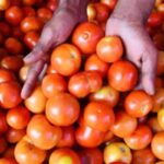tomato-price-2026-02-ff37c169f8eca7564faf19e9988c4f4a-3x2-1