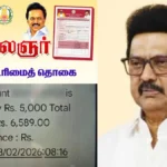 urimaif6-1770954384-1770968843