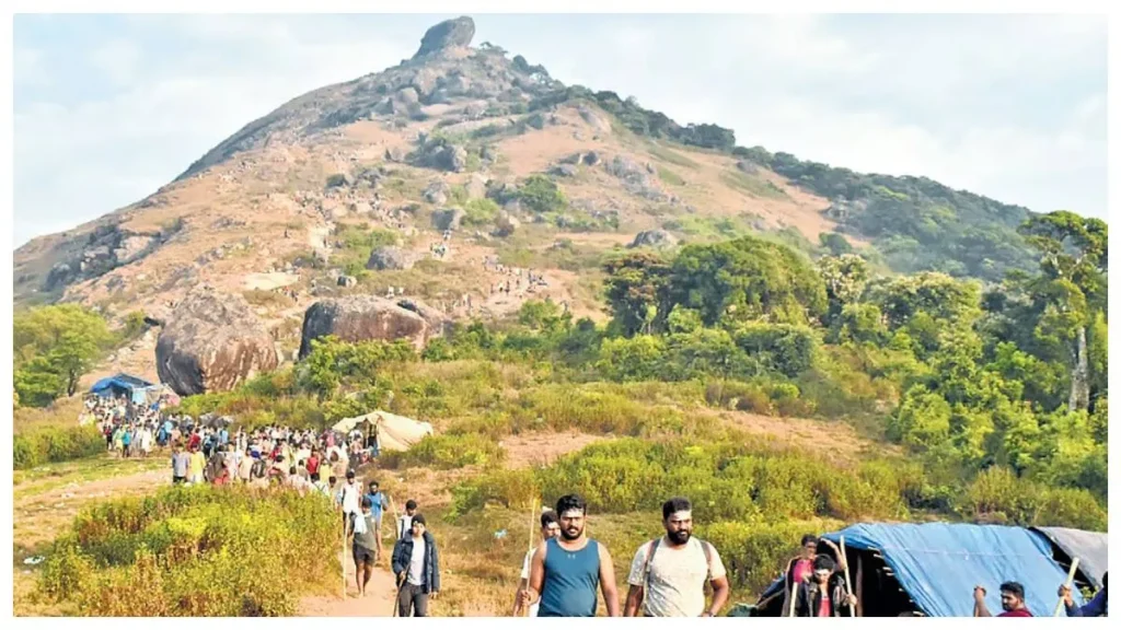 velliyangirifea-1771674753