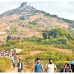 velliyangirifea-1771674753