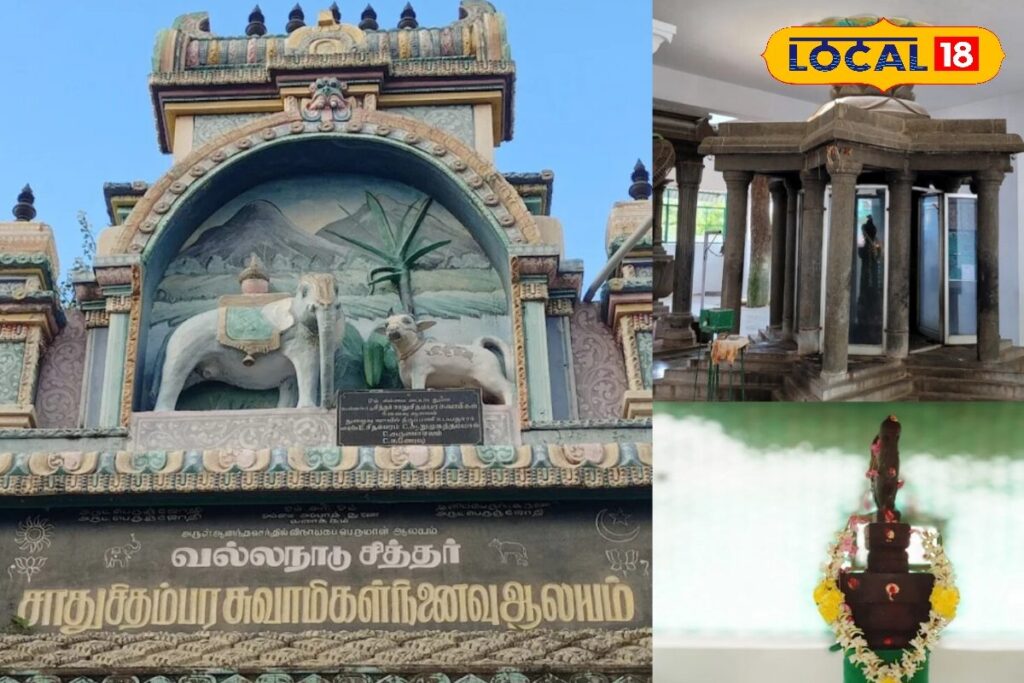 HYP_5754206_cropped_09022026_171839_inshot_20260209_171830284__1-3x2-1