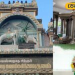 HYP_5754206_cropped_09022026_171839_inshot_20260209_171830284__1-3x2-1