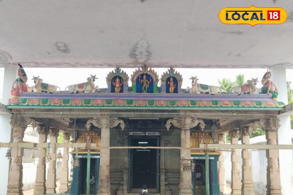 HYP_5781992_cropped_24022026_013157_oosainayakiammanudanuraith_2-1200x800-1