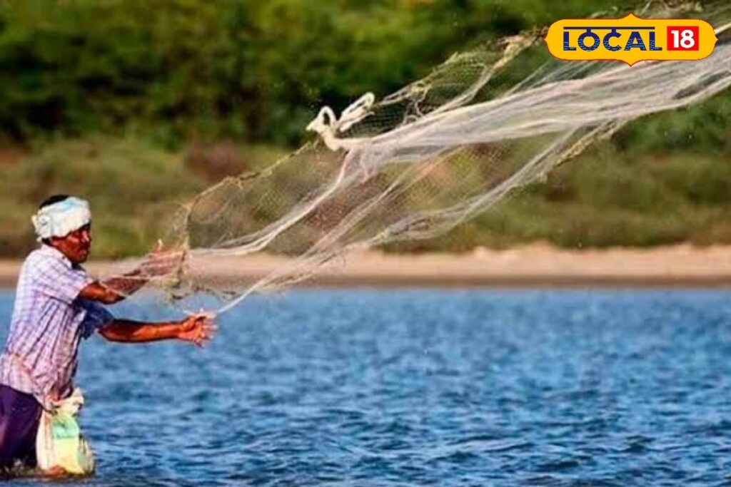 HYP_5789987_cropped_28022026_101733_images_20260228t101301246__2-1200x800-1