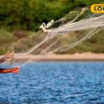 HYP_5789987_cropped_28022026_101733_images_20260228t101301246__2-1200x800-1