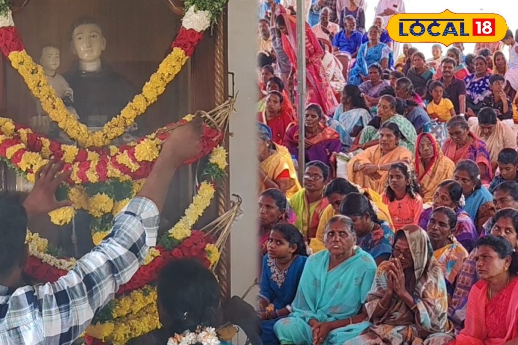 HYP_5790985_cropped_28022026_192009_inshot_20260228_191958115__2-1200x800-1