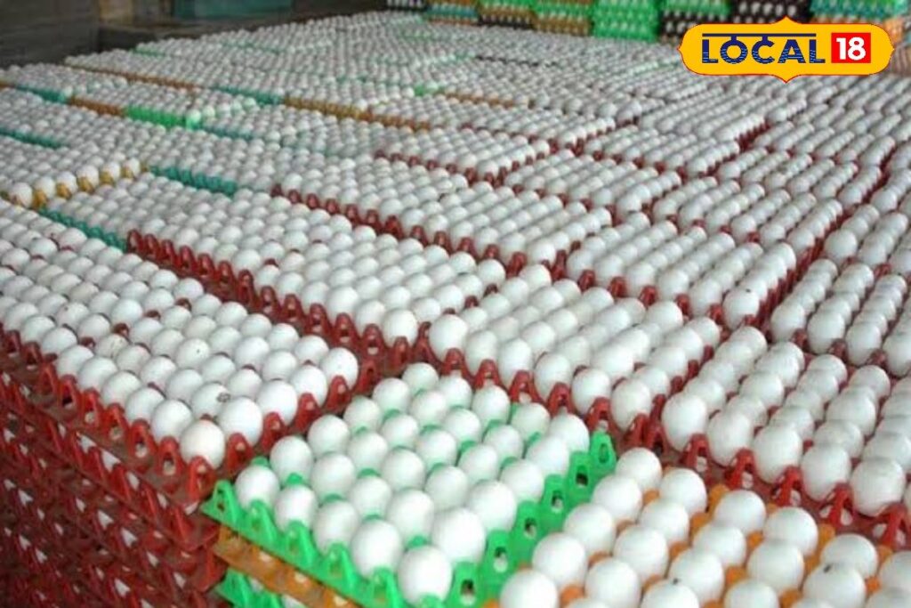 HYP_5794860_cropped_03032026_103032_images_49_watermark_030320_1-1200x800-1