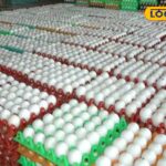 HYP_5794860_cropped_03032026_103032_images_49_watermark_030320_1-1200x800-1