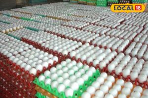 HYP_5794860_cropped_03032026_103032_images_49_watermark_030320_1-1200x800-1