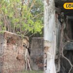 HYP_5798688_cropped_05032026_223344_inshot_20260305_221941205__1-1200x800-1