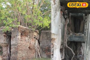 HYP_5798688_cropped_05032026_223344_inshot_20260305_221941205__1-1200x800-1