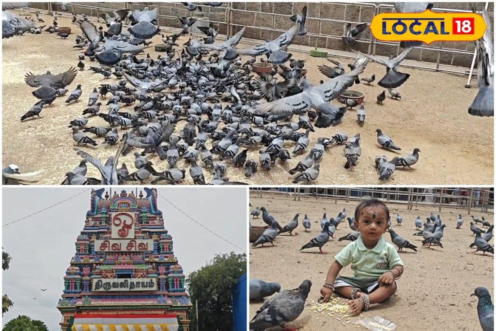 HYP_5800148_cropped_07032026_085101_inshot_20260306_151534131__2-1200x800-1