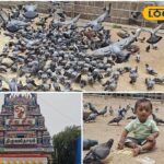 HYP_5800148_cropped_07032026_085101_inshot_20260306_151534131__2-1200x800-1