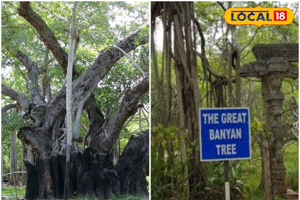 HYP_5800928_cropped_07032026_202331_inshot_20260307_202309154__2-1200x800-2