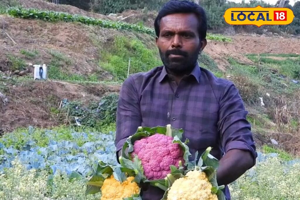 HYP_5801718_cropped_09032026_011352_videocapture_2026030901042_2-1200x800-1