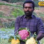 HYP_5801718_cropped_09032026_011352_videocapture_2026030901042_2-1200x800-1