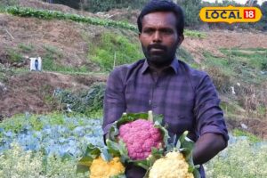 HYP_5801718_cropped_09032026_011352_videocapture_2026030901042_2-1200x800-1