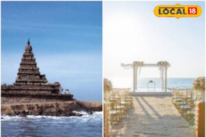 HYP_5801888_cropped_09032026_110233_inshot_20260309_110214080__1-1200x800-1