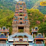 HYP_5802229_cropped_09032026_160346_image_search_1773050917959_1-1200x800-1