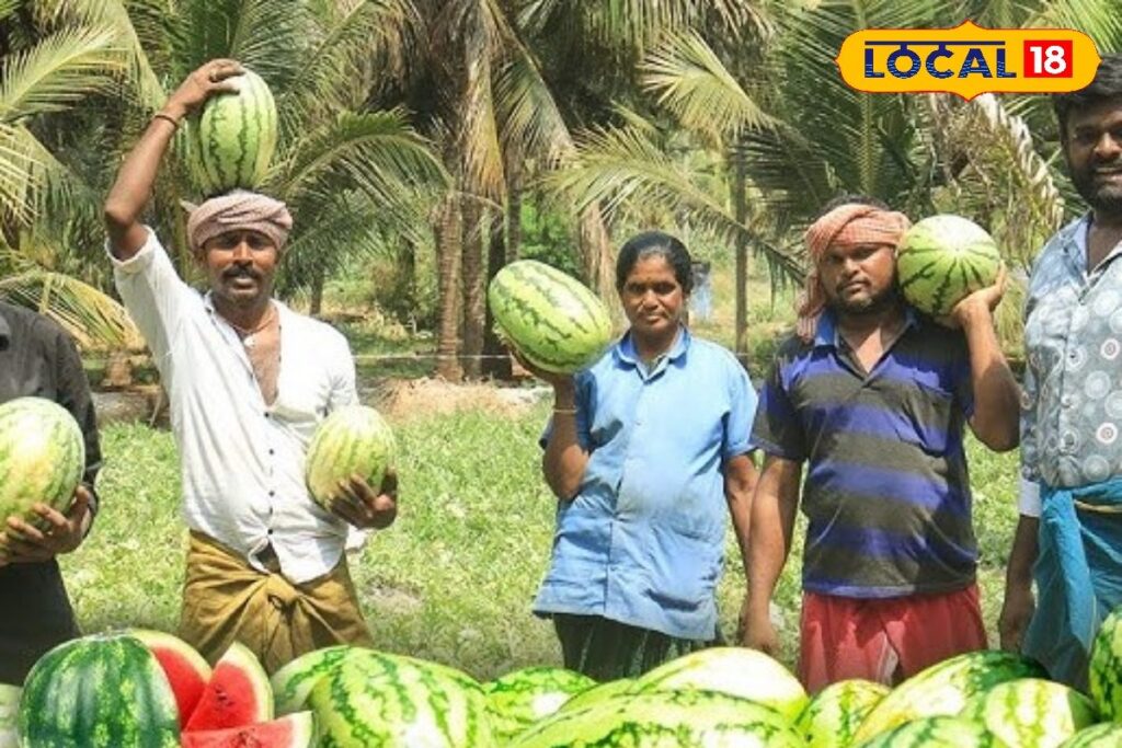 HYP_5805037_cropped_13032026_023227_hq720_1_watermark_13032026_2-1200x800-1