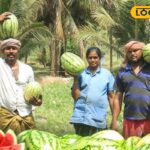 HYP_5805037_cropped_13032026_023227_hq720_1_watermark_13032026_2-1200x800-1