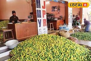 HYP_5805416_cropped_13032026_142122_620372_watermark_13032026__1-1200x800-1