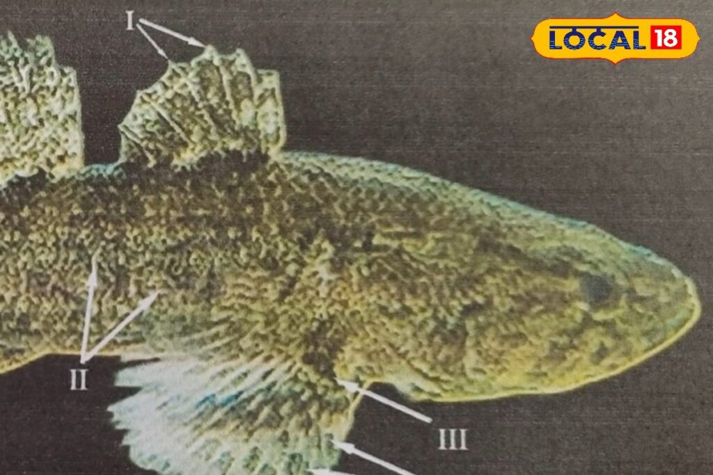 HYP_5806548_cropped_15032026_003324_img_20260309_121103_waterm_2-1200x800-1