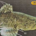 HYP_5806548_cropped_15032026_003324_img_20260309_121103_waterm_2-1200x800-1