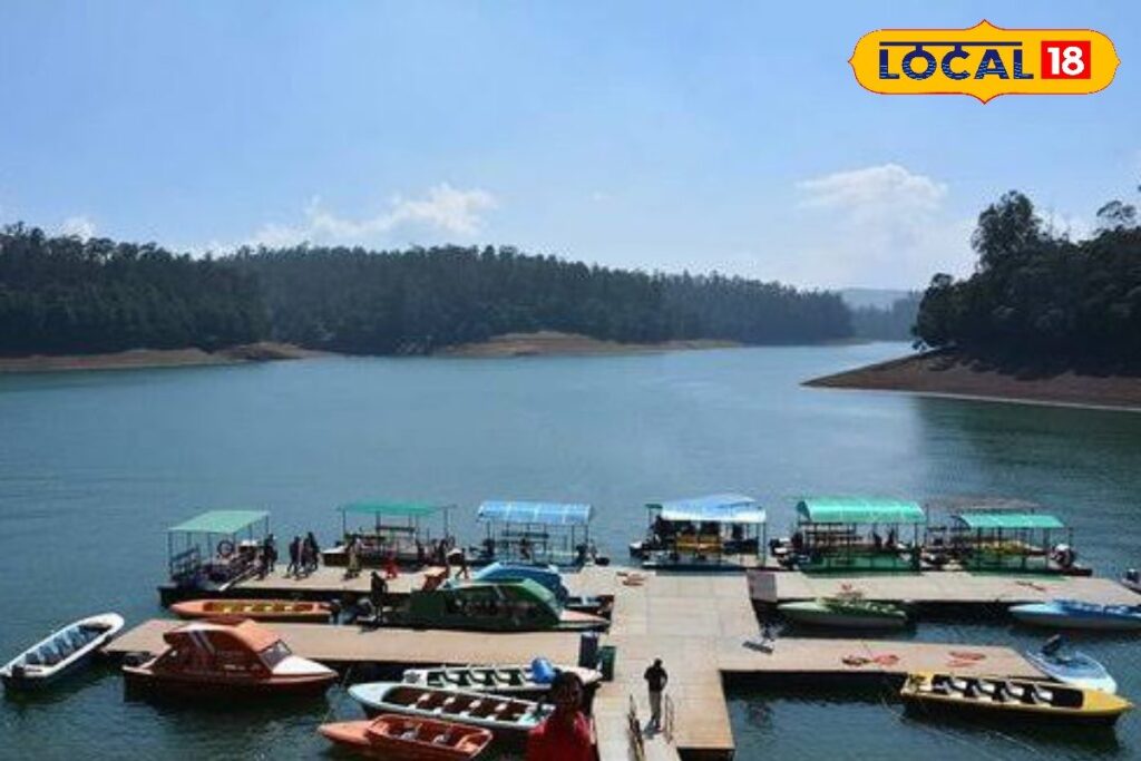 HYP_5806898_cropped_15032026_170039_images_20260315t113302290__2-1200x800-1