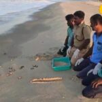 HYP_5807122_1773604187905_1