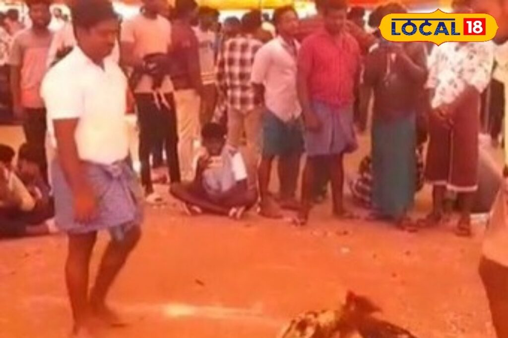 HYP_5807123_cropped_16032026_012559_img20260316wa0000_watermar_1-1200x800-1