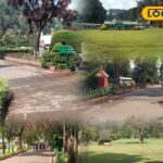 HYP_5808854_cropped_18032026_062920_inshot_20260318_062455176__1-1200x800-1