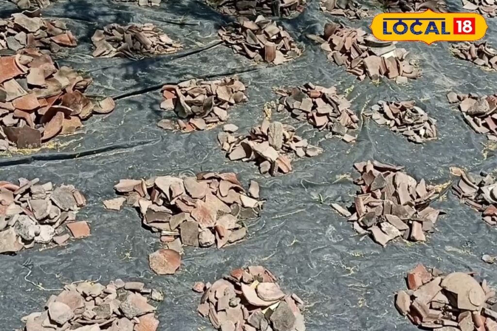 HYP_5809274_cropped_18032026_144223_img_20260318_14421178_wate_2-1200x800-1