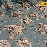 HYP_5809274_cropped_18032026_144223_img_20260318_14421178_wate_2-1200x800-1