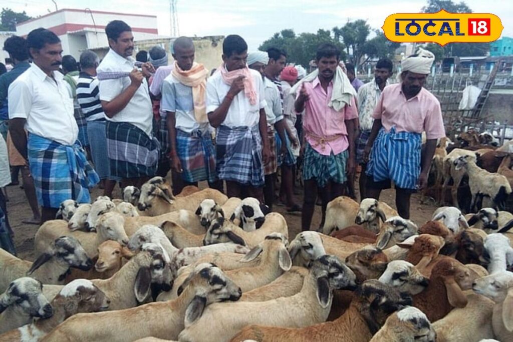 HYP_5809717_cropped_19032026_005337_img20180113wa0092_12562_wa_1-1200x800-1