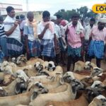 HYP_5809717_cropped_19032026_005337_img20180113wa0092_12562_wa_1-1200x800-1