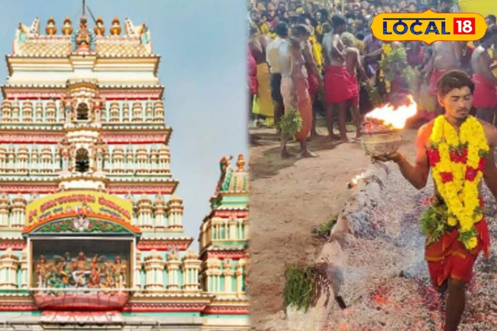 HYP_5811142_cropped_20032026_160153_inshot_20260320_160139901__1-1200x800-1