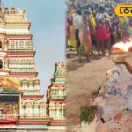 HYP_5811142_cropped_20032026_160153_inshot_20260320_160139901__1-1200x800-1