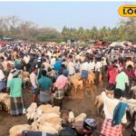 HYP_5811146_cropped_20032026_160243_img20260320wa0015_watermar_1-1200x800-1