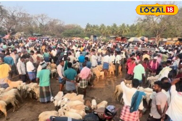 HYP_5811146_cropped_20032026_160243_img20260320wa0015_watermar_1-1200x800-1