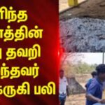 HYP_5811415_salanraj78_1-1200x800-1