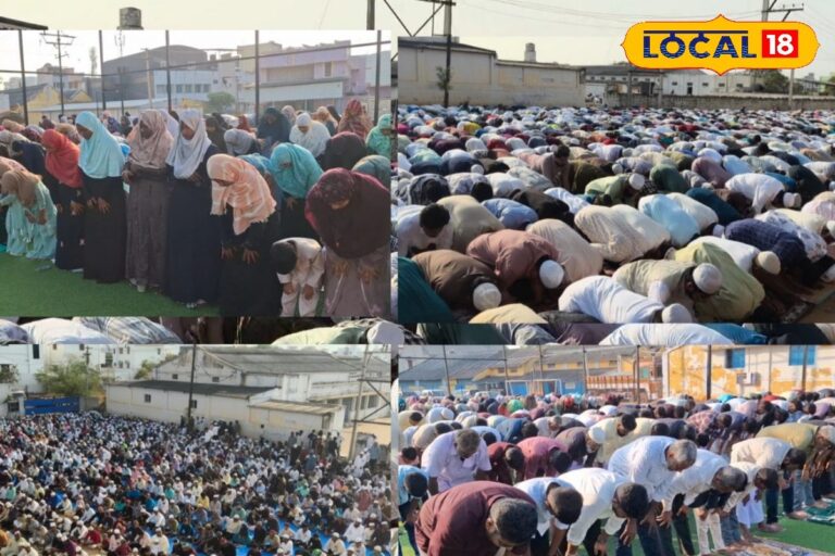 HYP_5811553_cropped_21032026_105542_picsart_260321_105214808_w_2-1200x800-1