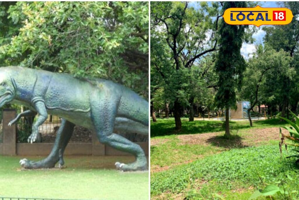 HYP_5812094_cropped_22032026_093018_inshot_20260322_093002312__2-1200x800-1