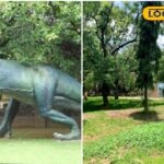 HYP_5812094_cropped_22032026_093018_inshot_20260322_093002312__2-1200x800-1